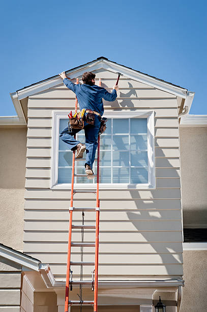 Best Siding Painting and Refinishing  in Carrier Mls, IL